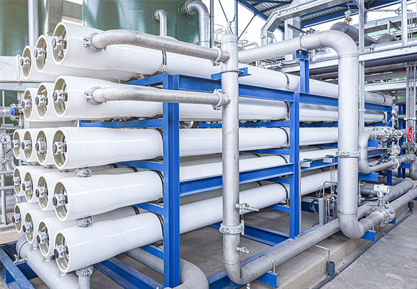 多年行业履历 /强盛企业实力